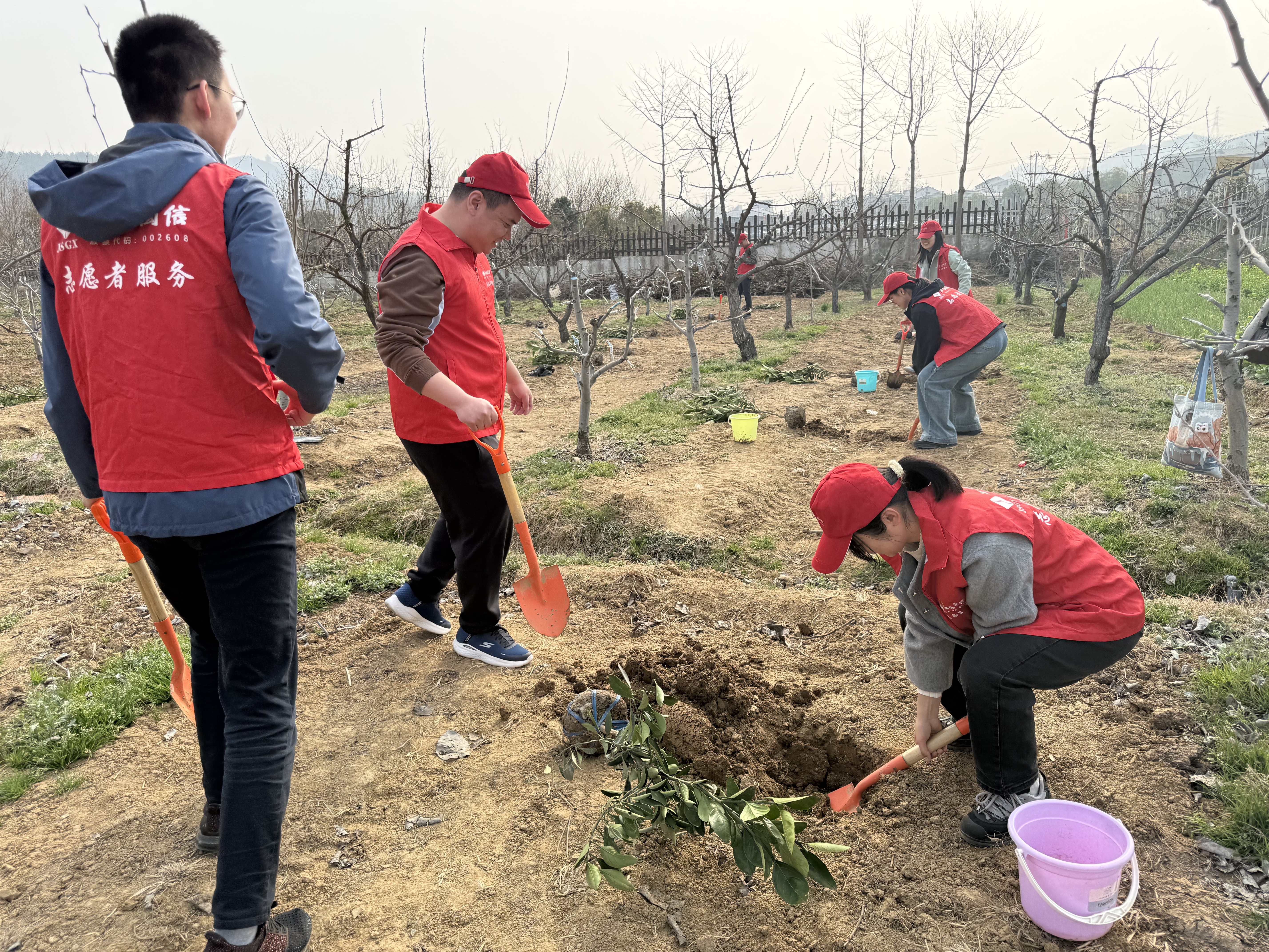 图2.2:栽种.jpg 图2.2:栽种.jpg